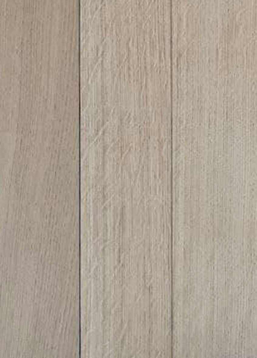 Rovere Gesso